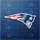 New England Patriots 2013